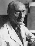 Johnny Friedlaender